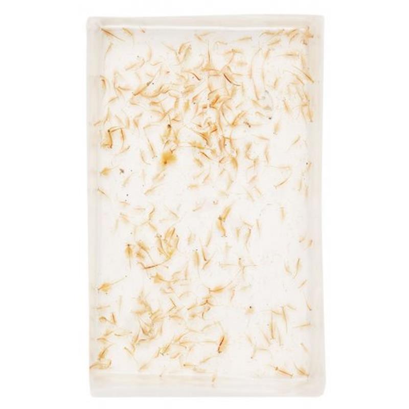 Mysis vii 25x90ml - imagine 6